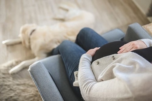 A pregnant employee sitting at home during their maternity leave