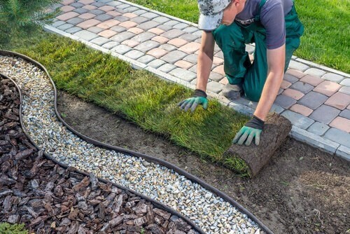 a gardener putting down grass